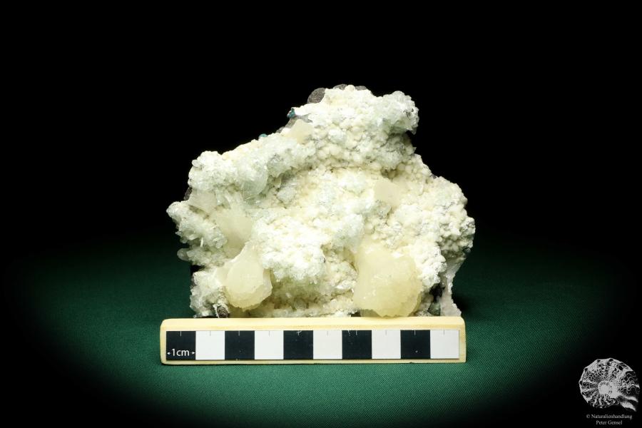 Stilbite XX and Apophyllite XX (20140) a mineral from India | Minerals | Global