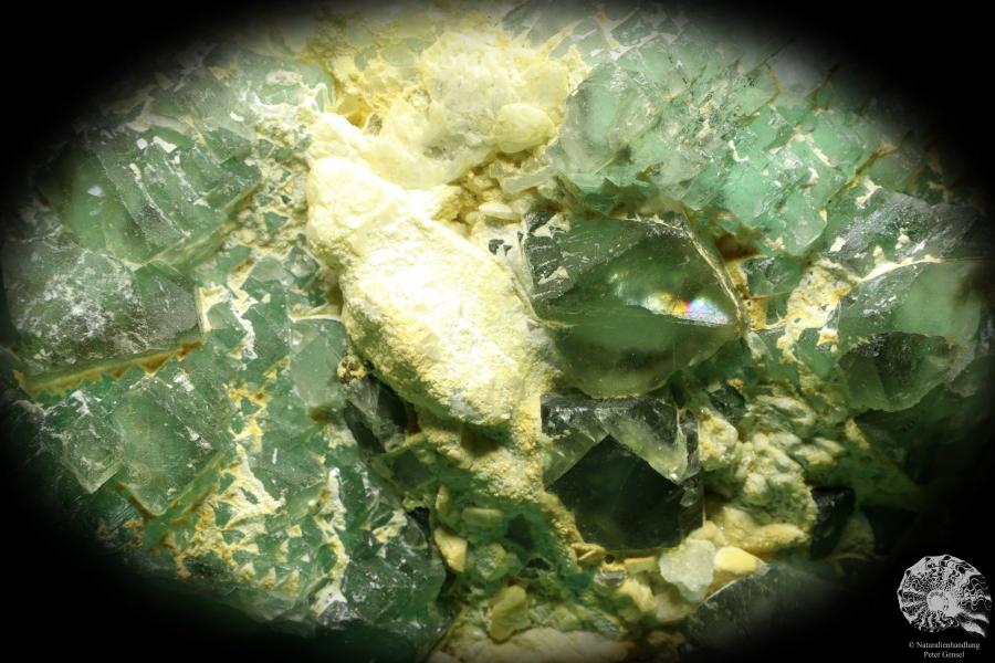 Fluorite XX & Quartz XX (20145) a mineral from Kazakhstan | Minerals | Global