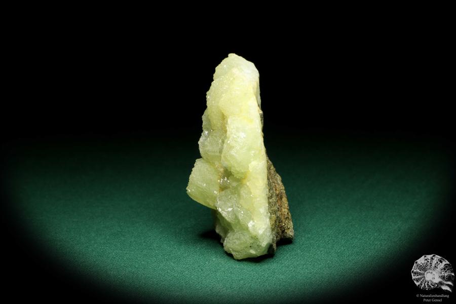 Prehnit XX (20147) ein Mineral aus Tschechien | Mineralien | Weltweit