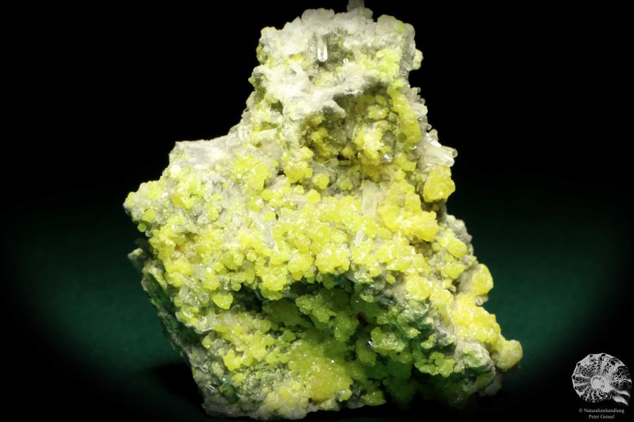 Schwefel XX und Coelestin XX (20149) ein Mineral aus Polen | Mineralien | Weltweit