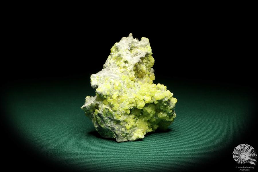 Schwefel XX und Coelestin XX (20149) ein Mineral aus Polen | Mineralien | Weltweit