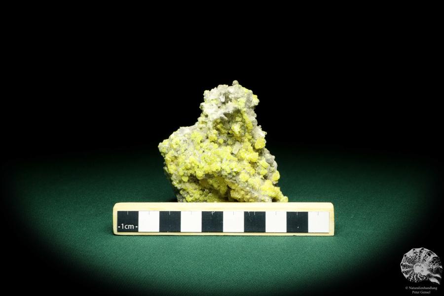 Schwefel XX und Coelestin XX (20149) ein Mineral aus Polen | Mineralien | Weltweit