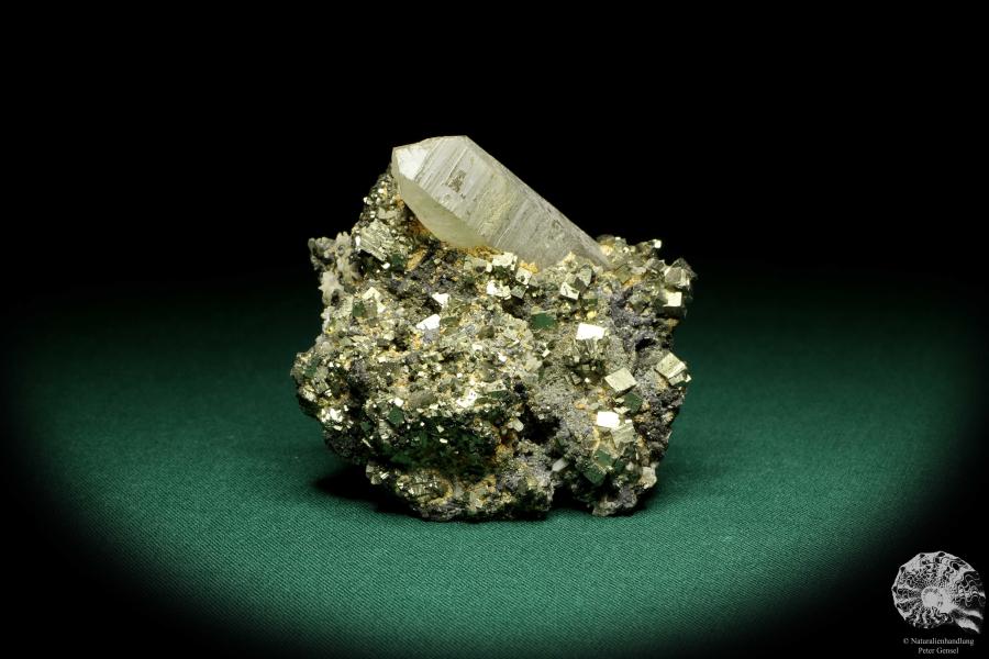 Quartz XX & Pyrite XX (20153) a mineral from Kazakhstan | Minerals | Global