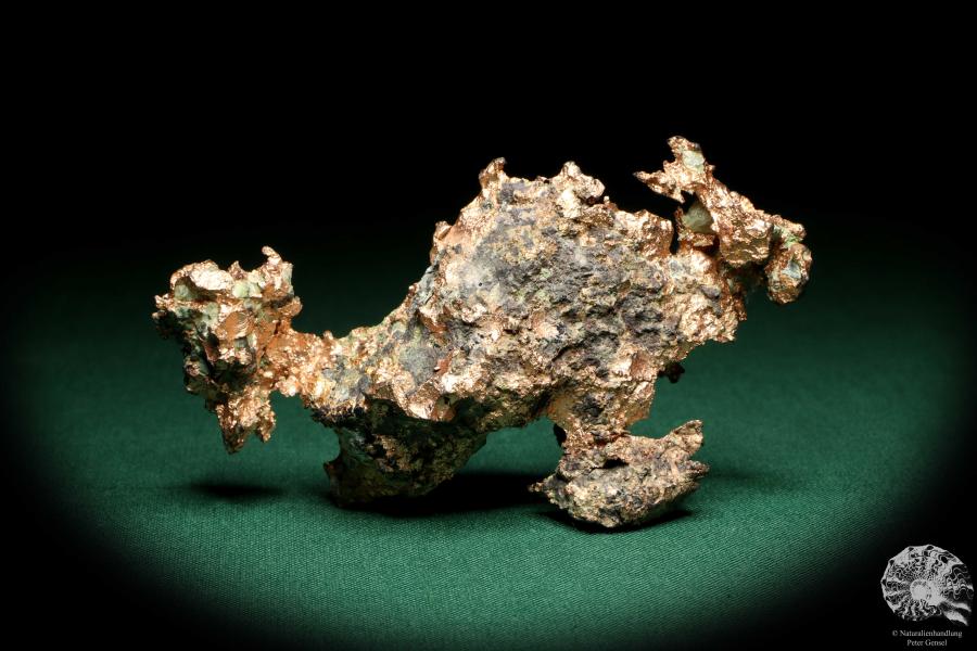 Gediegenes Kupfer (20156) ein Mineral aus USA | Mineralien | Weltweit