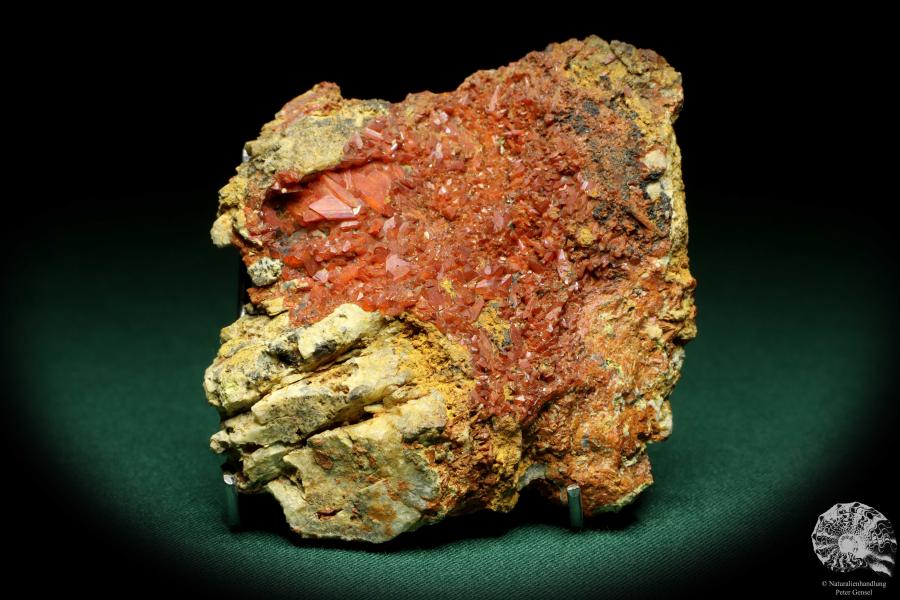 Krokoit XX (20160) ein Mineral aus Deutschland | Mineralien | Weltweit