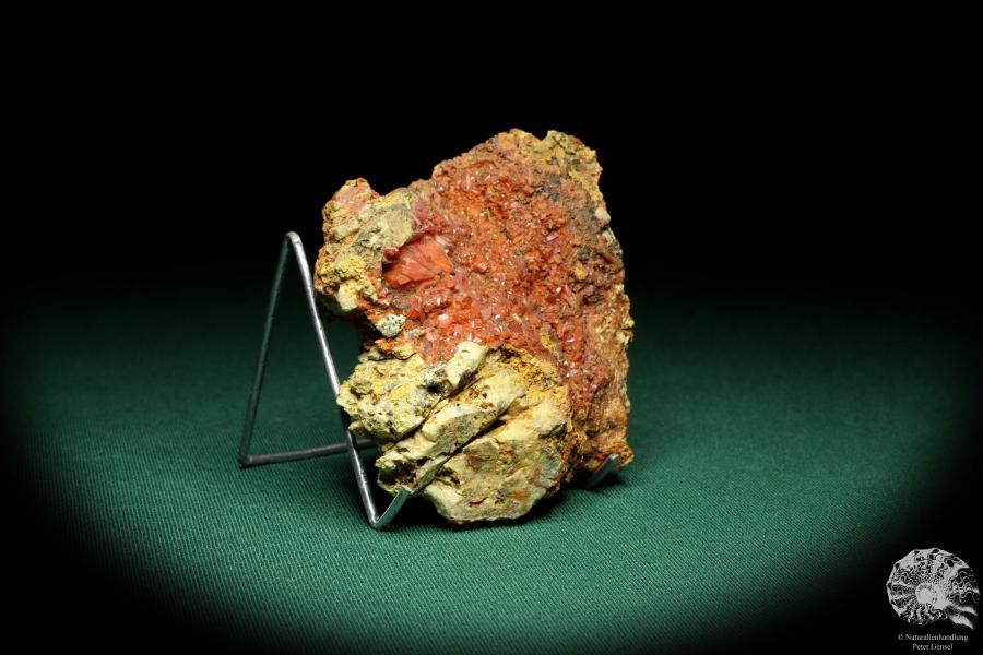 Krokoit XX (20160) ein Mineral aus Deutschland | Mineralien | Weltweit