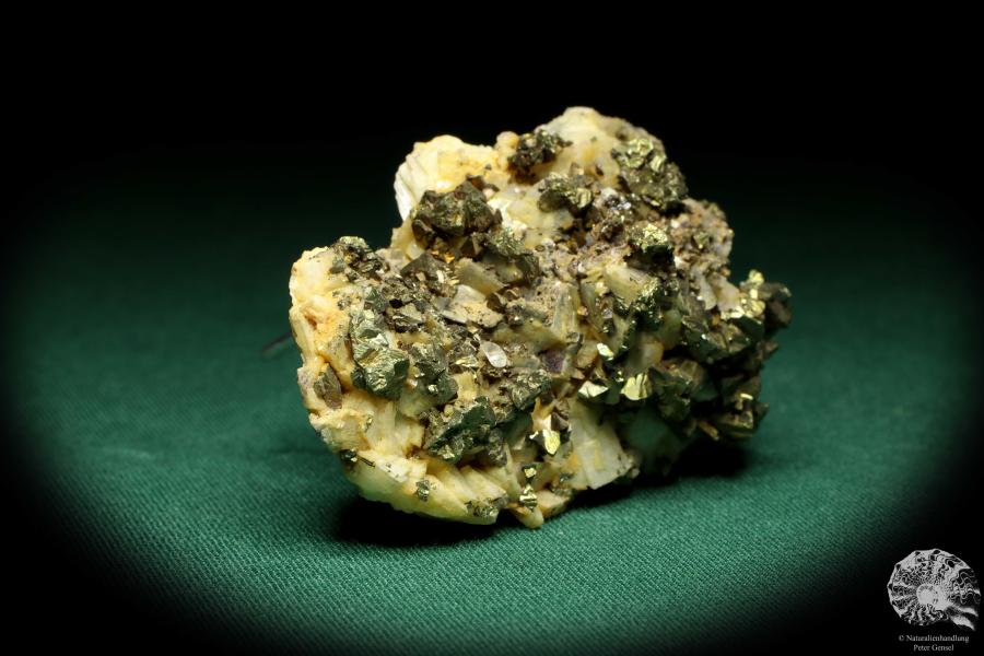 Chalcopyrite XX & Dolomite XX (20162) a mineral from Germany | Minerals | From Germany