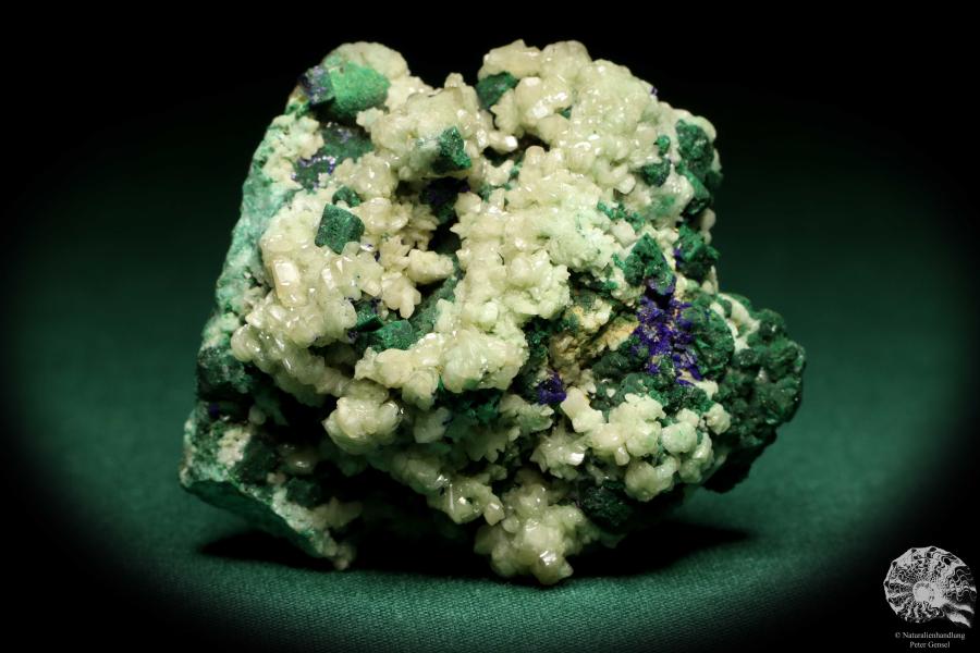 Cerussite XX with Malachite and Azurite XX - Namibia - (20165)