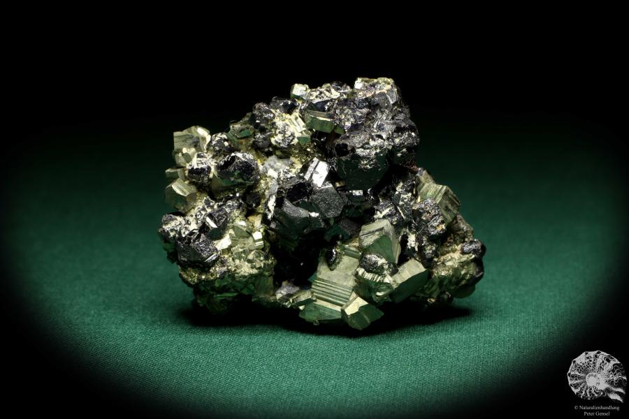 Pyrite XX & Sphalerite XX (20166) a mineral from Romania | Minerals | Global