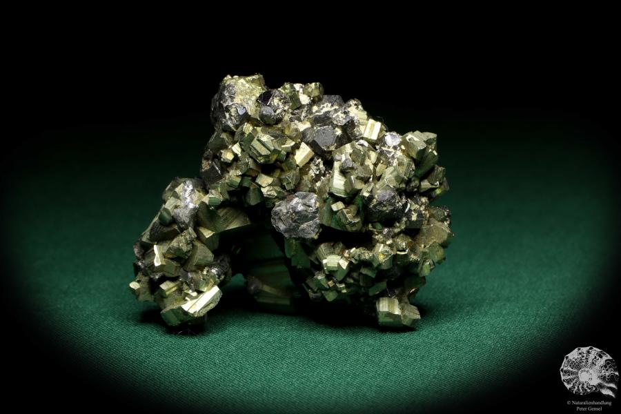 Pyrite XX & Sphalerite XX (20166) a mineral from Romania | Minerals | Global