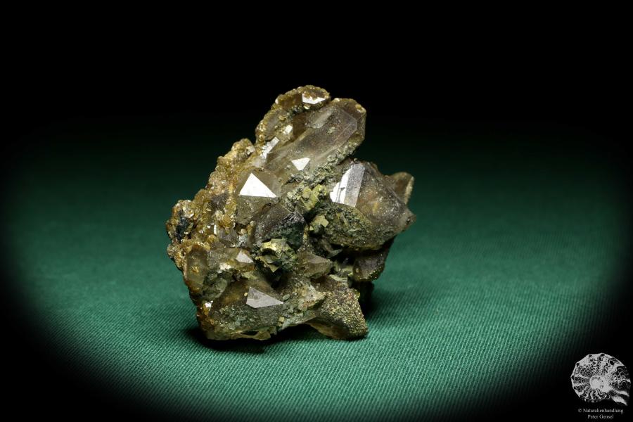 Rauchquarz XX mit Pyrit XX und Wolframit XX (20169) ein Mineral aus Kasachstan | Mineralien | Weltweit