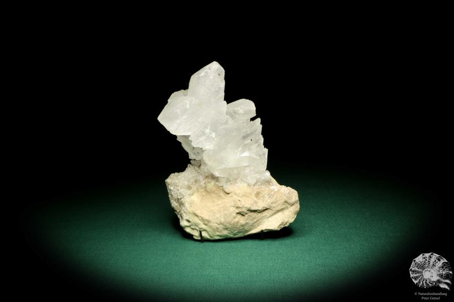 Gypsum XX (20181) a mineral from Mexico | Minerals | Global