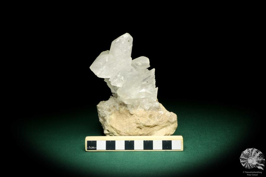 Gypsum XX (20181) a mineral from Mexico | Minerals | Global