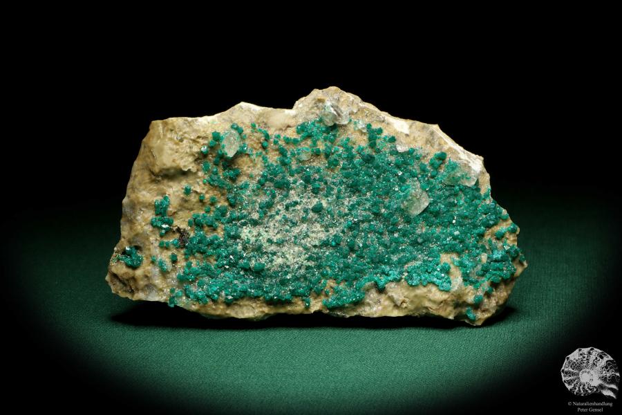 Dioptase XX (20182) a mineral from Kazakhstan | Minerals | Global