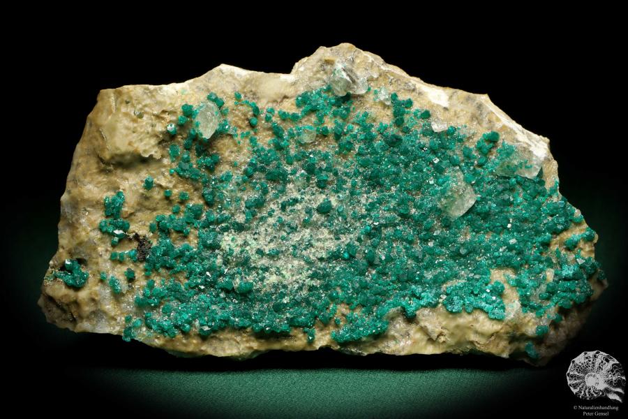 Dioptase XX - Kazakhstan - (20182)