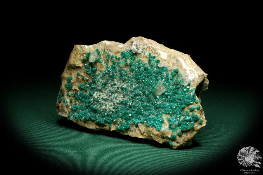 Dioptase XX (20182) a mineral from Kazakhstan | Minerals | Global