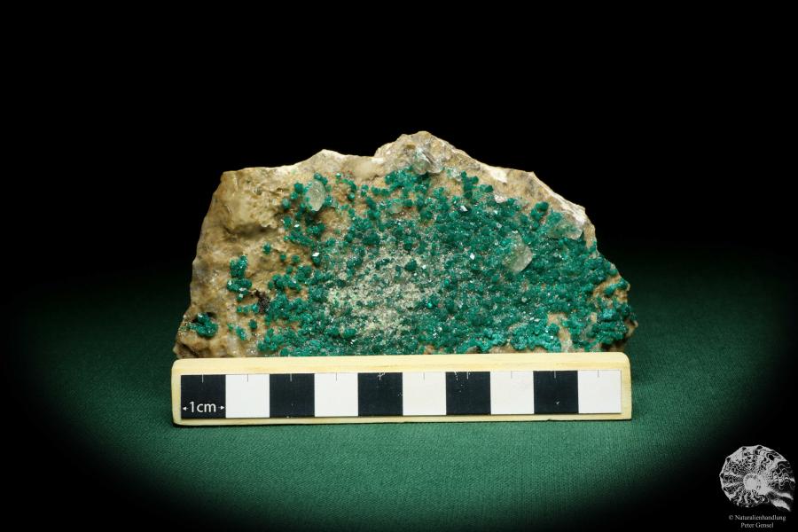 Dioptase XX (20182) a mineral from Kazakhstan | Minerals | Global