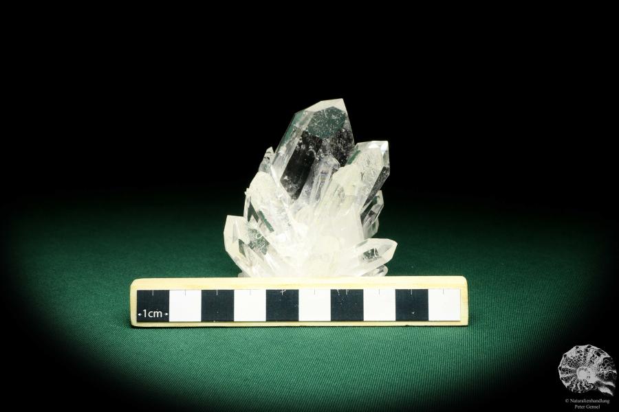 Rock Crystal XX (20185) a mineral from South America | Minerals | Global