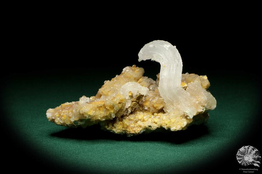 Gypsum XX (20189) a mineral from Morocco | Minerals | Global