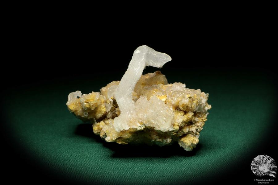 Gypsum XX (20189) a mineral from Morocco | Minerals | Global