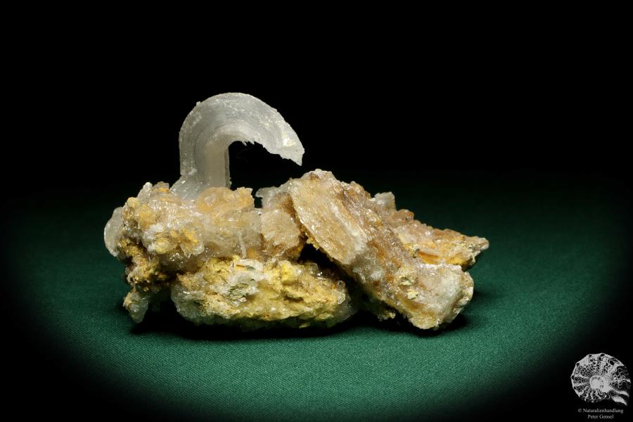 Gypsum XX (20189) a mineral from Morocco | Minerals | Global