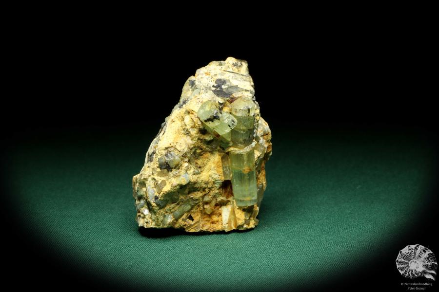 Beryll XX (20195) ein Mineral aus Russland | Mineralien | Weltweit