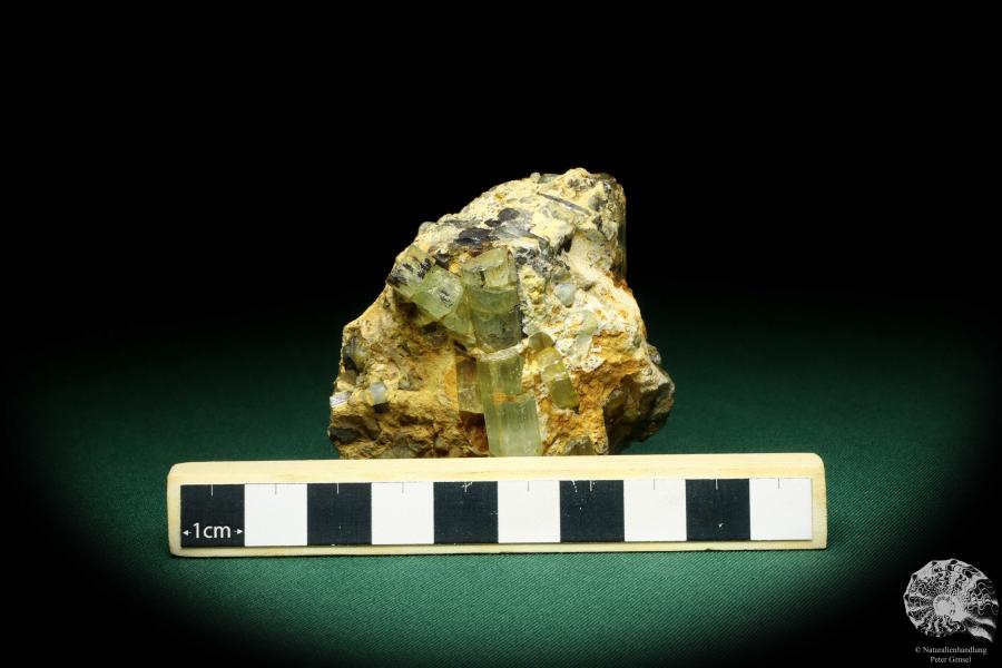 Beryll XX (20195) ein Mineral aus Russland | Mineralien | Weltweit