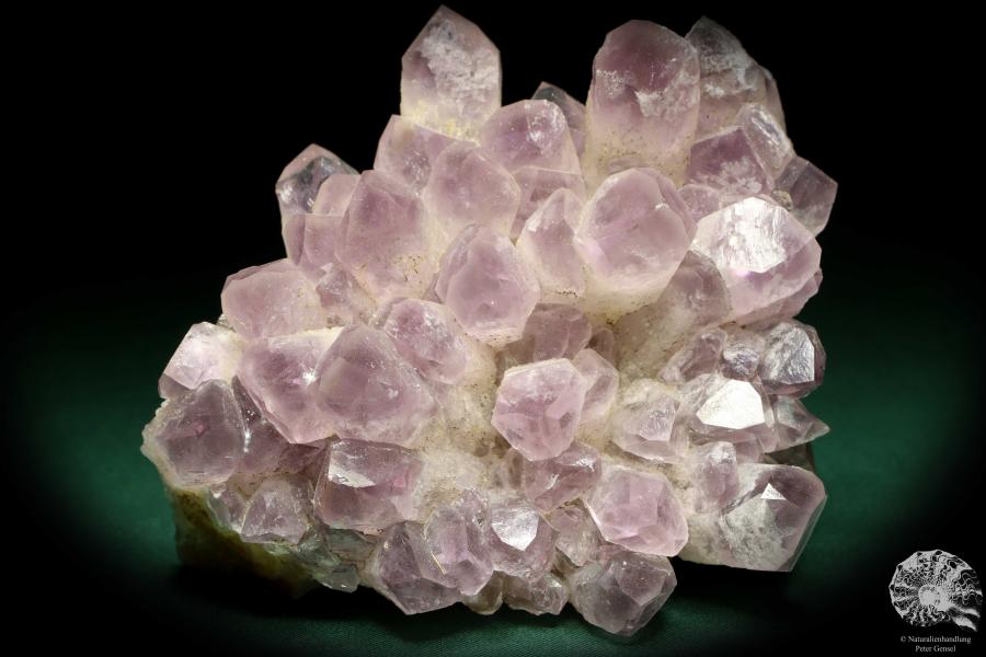 Amethyst XX (20199) ein Mineral aus Afrika | Mineralien | Weltweit