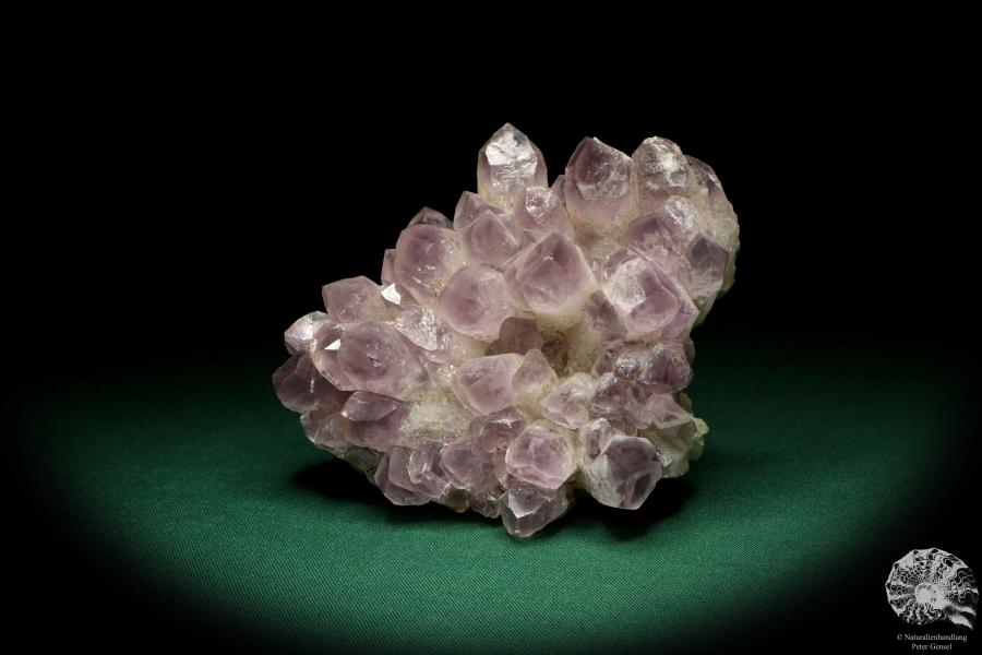 Amethyst XX (20199) ein Mineral aus Afrika | Mineralien | Weltweit