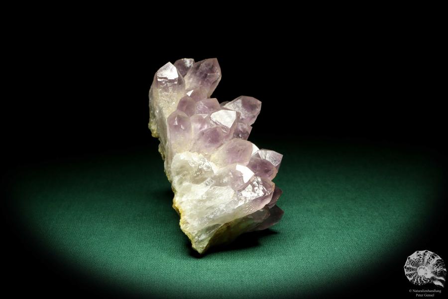 Amethyst XX (20199) ein Mineral aus Afrika | Mineralien | Weltweit