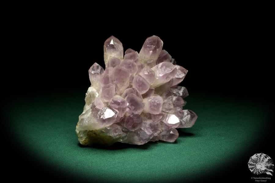 Amethyst XX (20199) ein Mineral aus Afrika | Mineralien | Weltweit