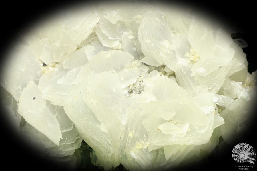 Calcite XX with gypsum XX (20201) a mineral from Romania | Minerals | Global