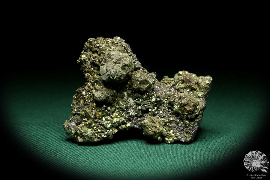 Pyrit XX auf Sphalerit XX (20213) ein Mineral aus Rumänien | Mineralien | Weltweit