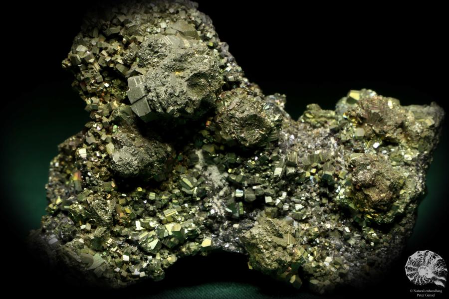 Pyrit XX auf Sphalerit XX (20213) ein Mineral aus Rumänien | Mineralien | Weltweit