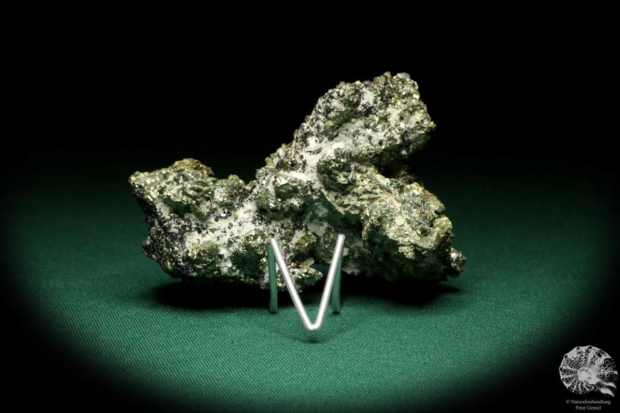 Pyrit XX auf Sphalerit XX (20213) ein Mineral aus Rumänien | Mineralien | Weltweit