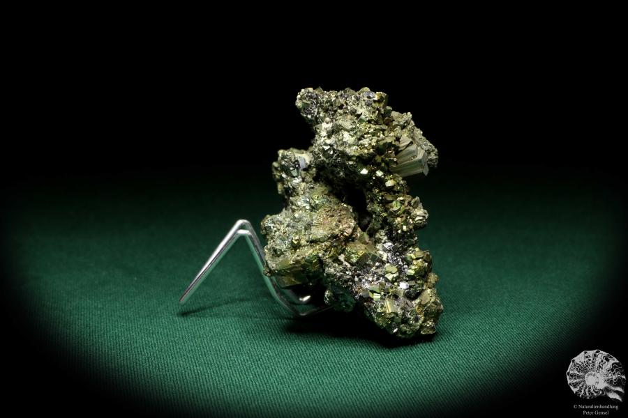 Pyrite XX on Sphalerite XX (20213) a mineral from Romania | Minerals | Global