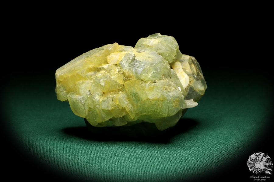 Fluorit XX & Quarz XX & Pyrit XX (20214) ein Mineral aus Kasachstan | Mineralien | Weltweit