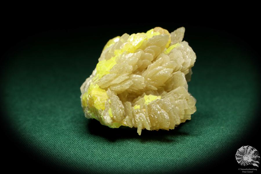 Baryt XX mit Schwefel XX (20217) ein Mineral aus Polen | Mineralien | Weltweit