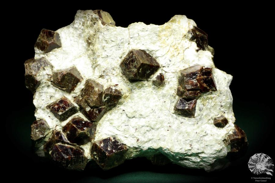 Almandin XX in Glimmerschiefer (20226) ein Mineral aus Italien | Mineralien | Weltweit