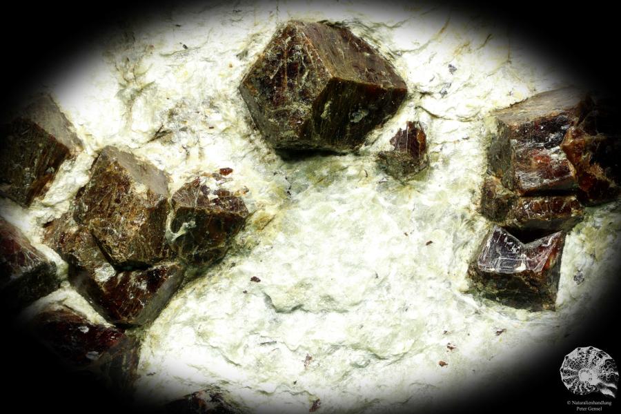 Almandine XX in Mica schist (20226) a mineral from Italy | Minerals | Global