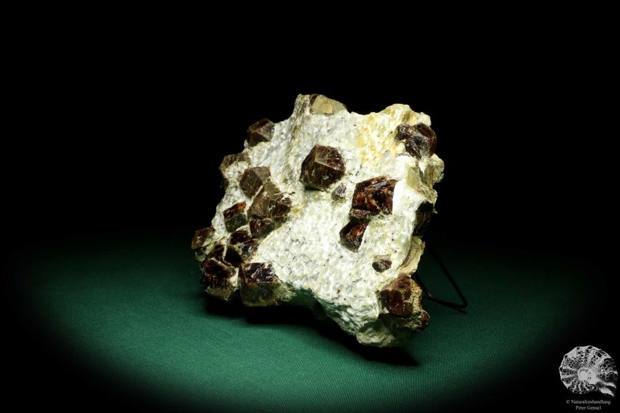 Almandin XX in Glimmerschiefer (20226) ein Mineral aus Italien | Mineralien | Weltweit