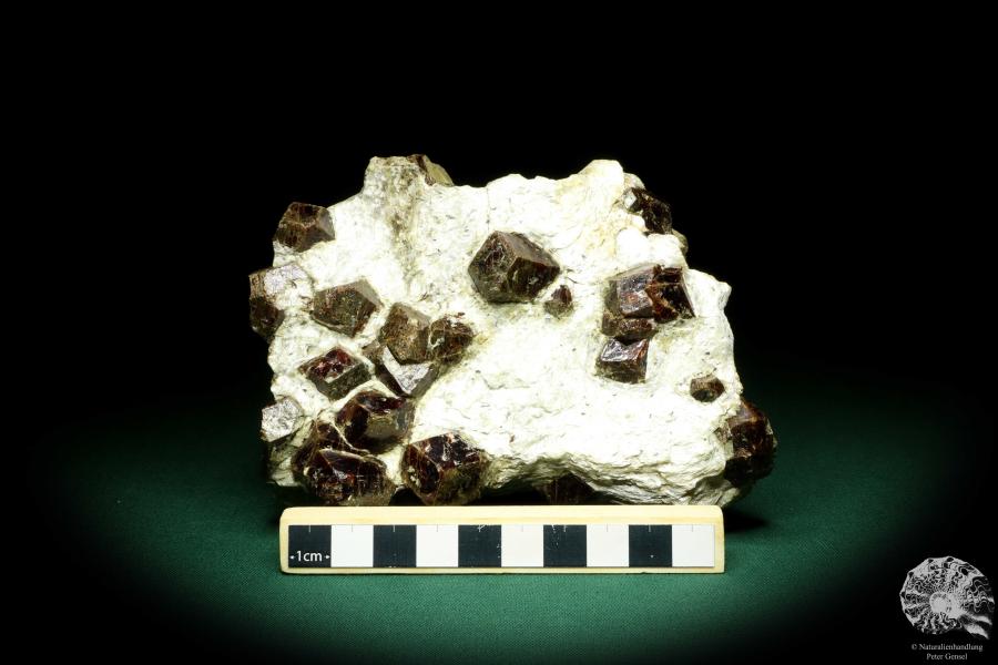 Almandine XX in Mica schist (20226) a mineral from Italy | Minerals | Global