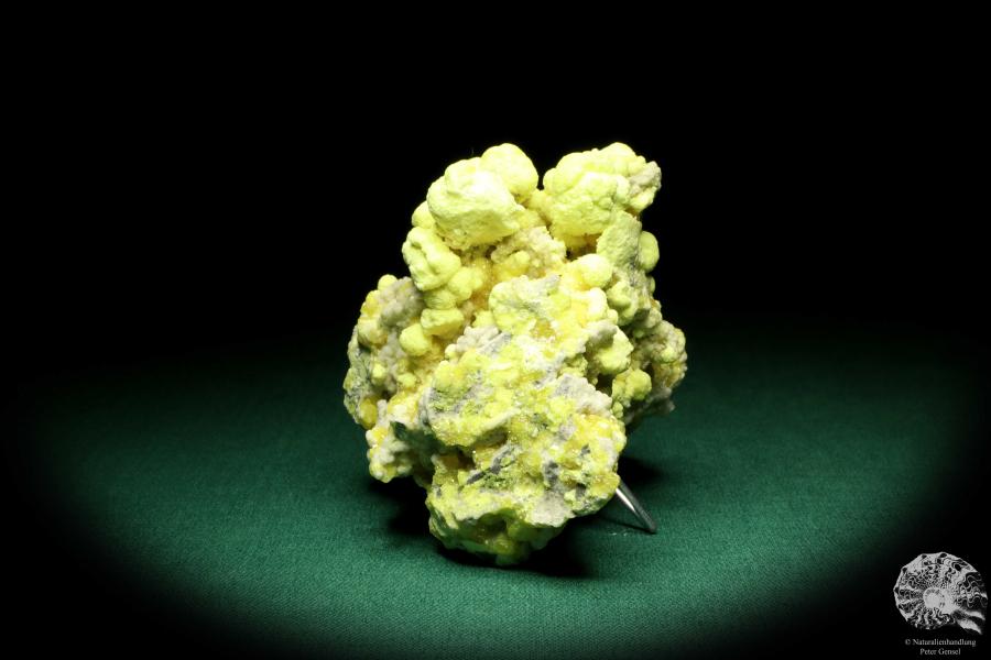 Schwefel XX (20228) ein Mineral aus Polen | Mineralien | Weltweit