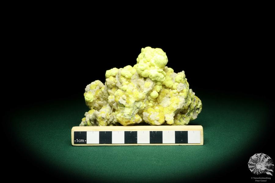 Schwefel XX (20228) ein Mineral aus Polen | Mineralien | Weltweit