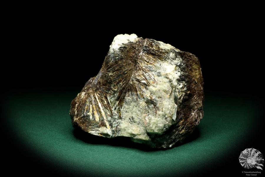 Astrophyllit XX (20231) ein Mineral aus Russland | Mineralien | Weltweit