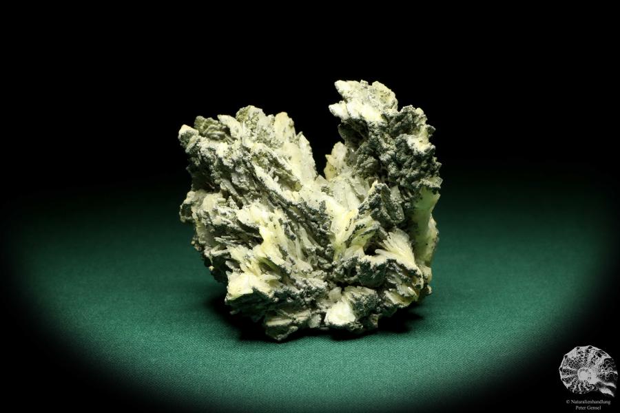 Baryt XX & Pyrit XX (20232) ein Mineral aus Rumänien | Mineralien | Weltweit