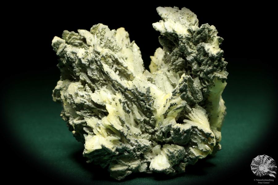 Baryt XX & Pyrit XX (20232) ein Mineral aus Rumänien | Mineralien | Weltweit