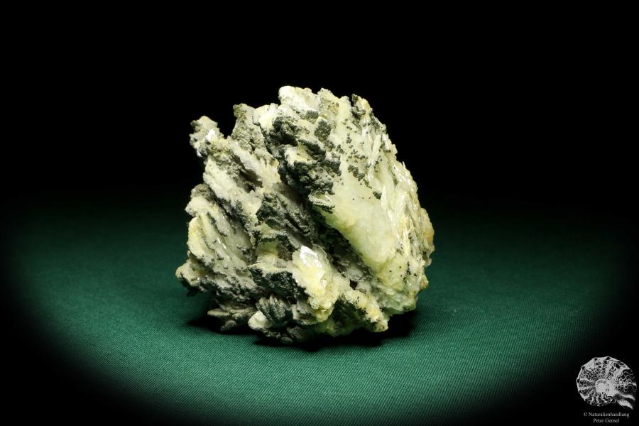 Baryt XX & Pyrit XX (20232) ein Mineral aus Rumänien | Mineralien | Weltweit