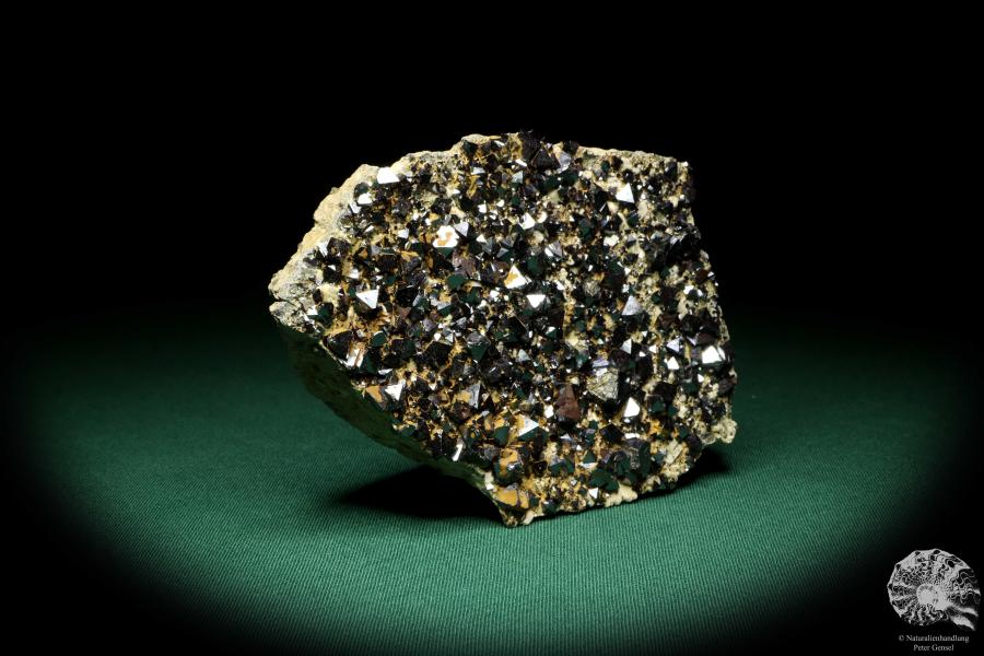 Magnetit XX (20233) ein Mineral aus Bolivien | Mineralien | Weltweit