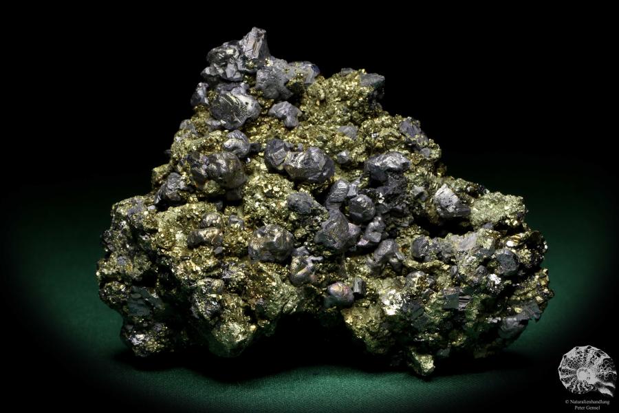 Galenit XX & Pyrit XX (20236) ein Mineral aus Rumänien | Mineralien | Weltweit